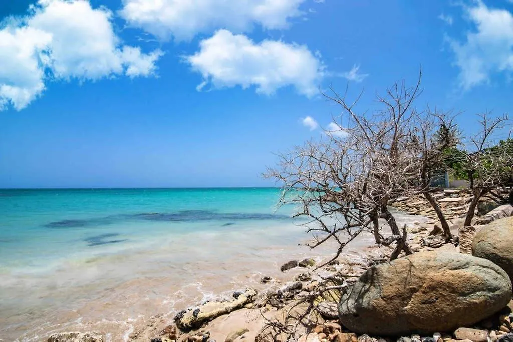 The Oasis Of Paradise @ Aquatika With Kingbed+Tv+Wifi+Pk Apartment Loiza